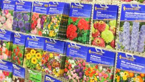 bildergalerie2-3-300x169